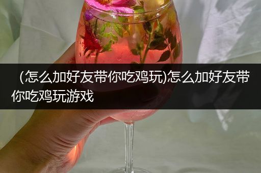 （怎么加好友带你吃鸡玩)怎么加好友带你吃鸡玩游戏