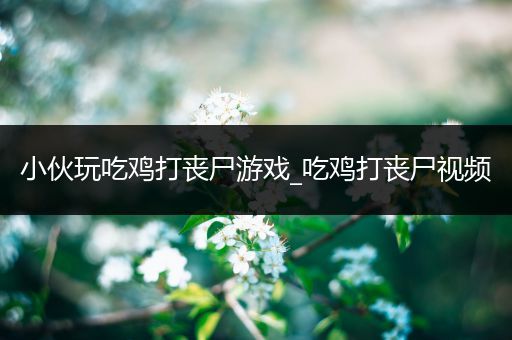 小伙玩吃鸡打丧尸游戏_吃鸡打丧尸视频