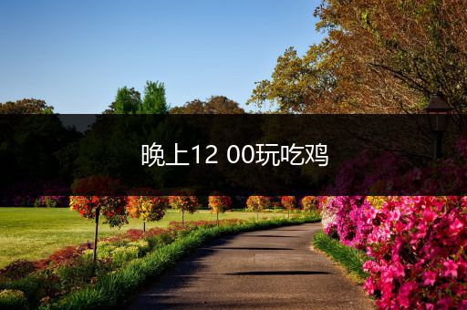 晚上12 00玩吃鸡
