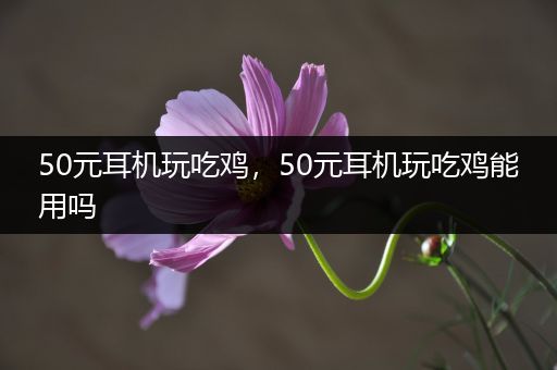 50元耳机玩吃鸡，50元耳机玩吃鸡能用吗