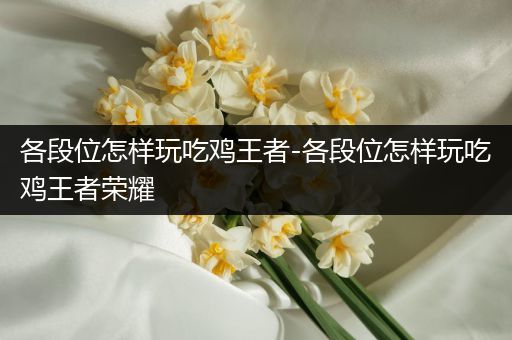 各段位怎样玩吃鸡王者-各段位怎样玩吃鸡王者荣耀
