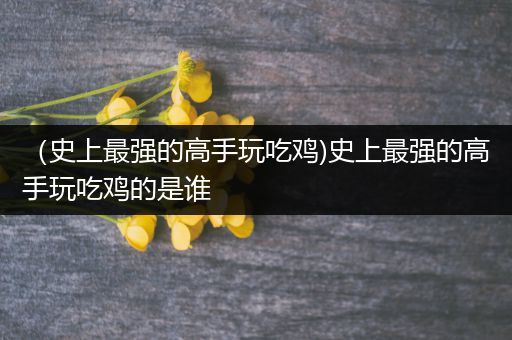 （史上最强的高手玩吃鸡)史上最强的高手玩吃鸡的是谁