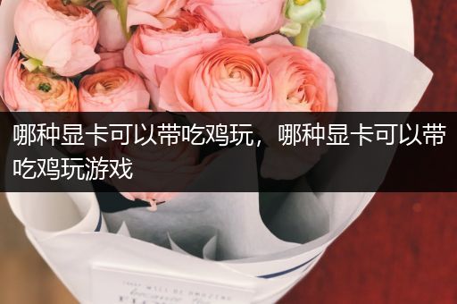 哪种显卡可以带吃鸡玩，哪种显卡可以带吃鸡玩游戏