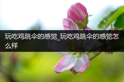 玩吃鸡跳伞的感觉_玩吃鸡跳伞的感觉怎么样