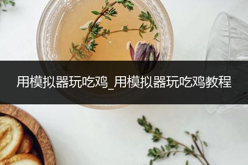用模拟器玩吃鸡_用模拟器玩吃鸡教程