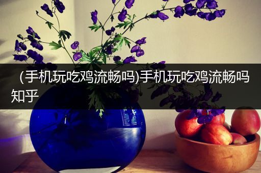 （手机玩吃鸡流畅吗)手机玩吃鸡流畅吗知乎