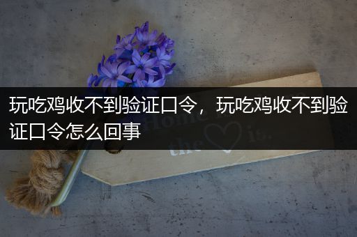玩吃鸡收不到验证口令，玩吃鸡收不到验证口令怎么回事