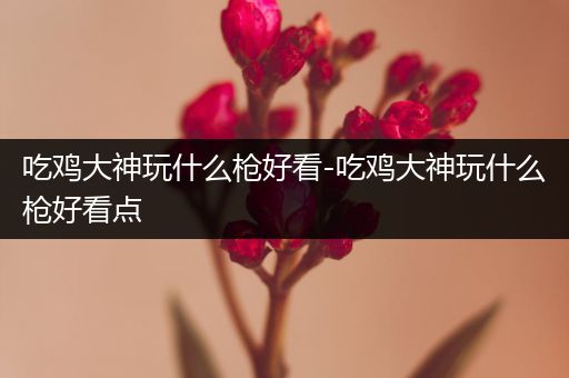 吃鸡大神玩什么枪好看-吃鸡大神玩什么枪好看点
