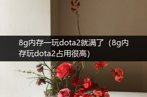 8g内存一玩dota2就满了（8g内存玩dota2占用很高）