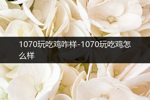1070玩吃鸡咋样-1070玩吃鸡怎么样