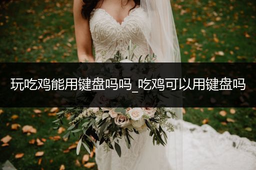 玩吃鸡能用键盘吗吗_吃鸡可以用键盘吗