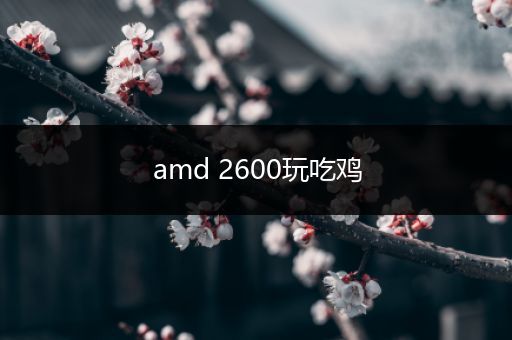 amd 2600玩吃鸡