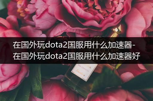 在国外玩dota2国服用什么加速器-在国外玩dota2国服用什么加速器好