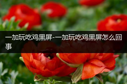 一加玩吃鸡黑屏-一加玩吃鸡黑屏怎么回事