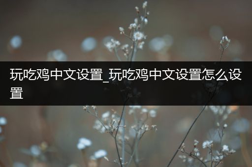 玩吃鸡中文设置_玩吃鸡中文设置怎么设置