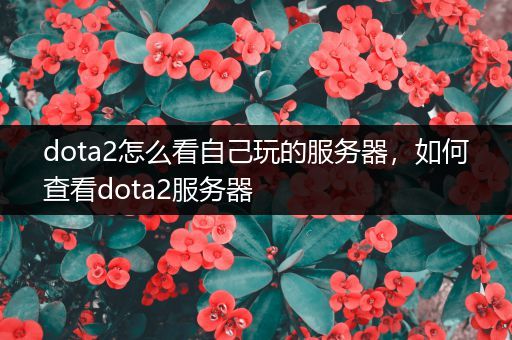 dota2怎么看自己玩的服务器，如何查看dota2服务器