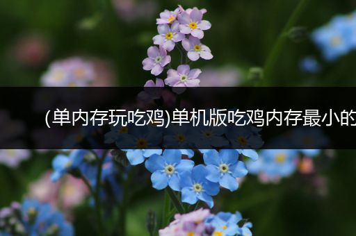 （单内存玩吃鸡)单机版吃鸡内存最小的