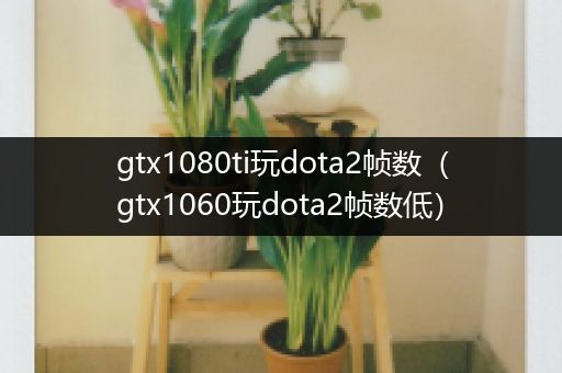 gtx1080ti玩dota2帧数（gtx1060玩dota2帧数低）