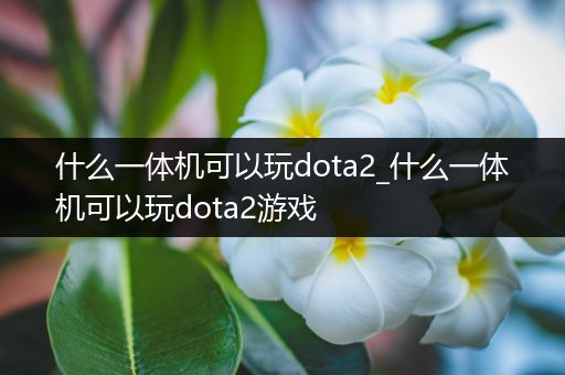 什么一体机可以玩dota2_什么一体机可以玩dota2游戏