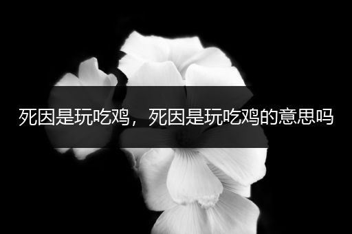 死因是玩吃鸡，死因是玩吃鸡的意思吗