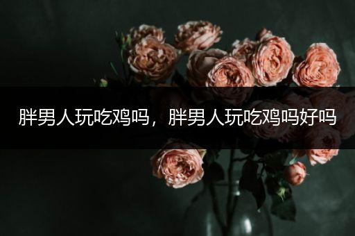 胖男人玩吃鸡吗，胖男人玩吃鸡吗好吗