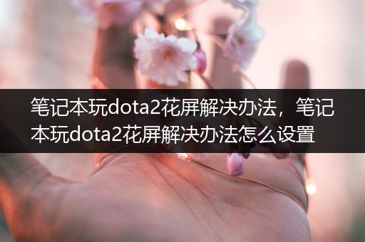 笔记本玩dota2花屏解决办法，笔记本玩dota2花屏解决办法怎么设置