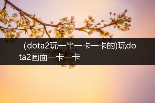 （dota2玩一半一卡一卡的)玩dota2画面一卡一卡