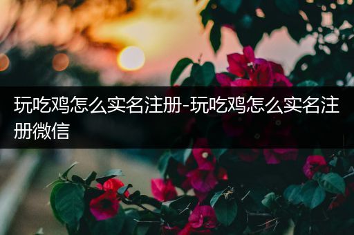 玩吃鸡怎么实名注册-玩吃鸡怎么实名注册微信