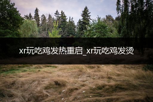 xr玩吃鸡发热重启_xr玩吃鸡发烫