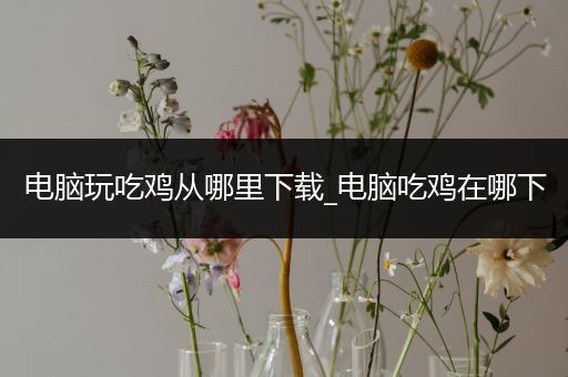 电脑玩吃鸡从哪里下载_电脑吃鸡在哪下