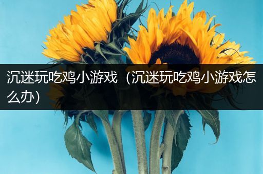 沉迷玩吃鸡小游戏（沉迷玩吃鸡小游戏怎么办）