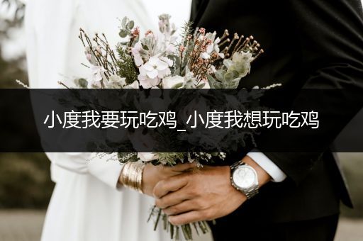 小度我要玩吃鸡_小度我想玩吃鸡