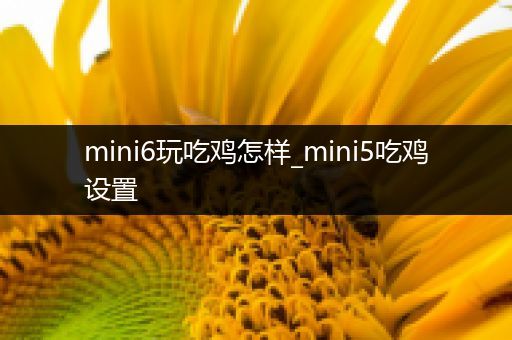 mini6玩吃鸡怎样_mini5吃鸡设置