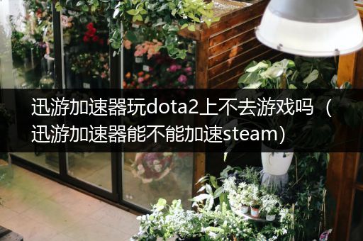 迅游加速器玩dota2上不去游戏吗（迅游加速器能不能加速steam）