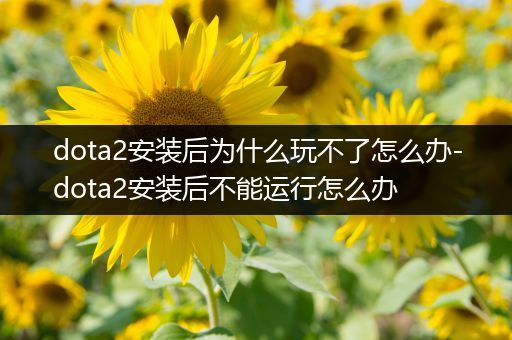 dota2安装后为什么玩不了怎么办-dota2安装后不能运行怎么办