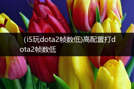 （i5玩dota2帧数低)高配置打dota2帧数低