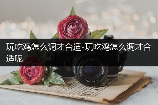 玩吃鸡怎么调才合适-玩吃鸡怎么调才合适呢