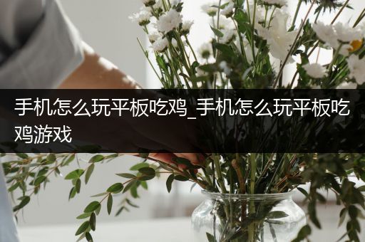 手机怎么玩平板吃鸡_手机怎么玩平板吃鸡游戏