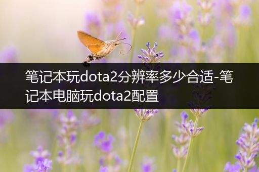 笔记本玩dota2分辨率多少合适-笔记本电脑玩dota2配置