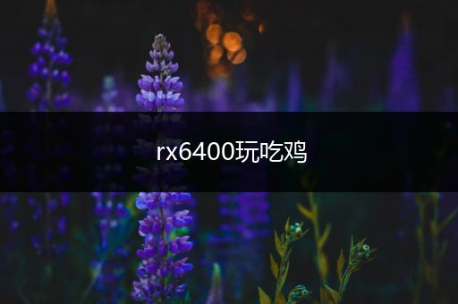 rx6400玩吃鸡