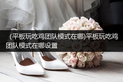 （平板玩吃鸡团队模式在哪)平板玩吃鸡团队模式在哪设置