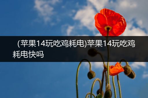 （苹果14玩吃鸡耗电)苹果14玩吃鸡耗电快吗