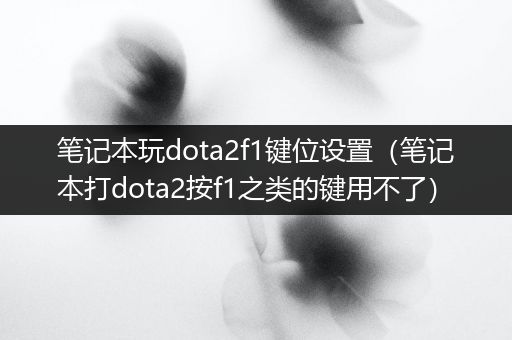 笔记本玩dota2f1键位设置（笔记本打dota2按f1之类的键用不了）