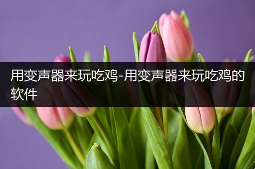 用变声器来玩吃鸡-用变声器来玩吃鸡的软件