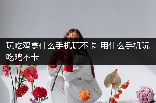 玩吃鸡拿什么手机玩不卡-用什么手机玩吃鸡不卡