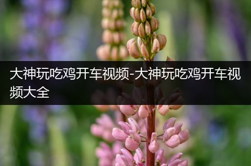 大神玩吃鸡开车视频-大神玩吃鸡开车视频大全