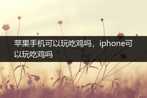 苹果手机可以玩吃鸡吗，iphone可以玩吃鸡吗