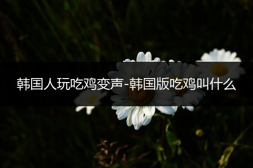 韩国人玩吃鸡变声-韩国版吃鸡叫什么