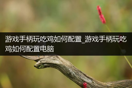 游戏手柄玩吃鸡如何配置_游戏手柄玩吃鸡如何配置电脑