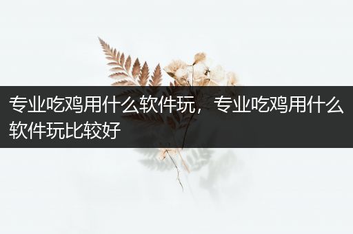 专业吃鸡用什么软件玩，专业吃鸡用什么软件玩比较好